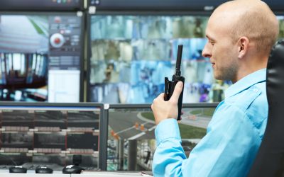 Why You Should Consider Hiring The Best Security Officer For Your Business